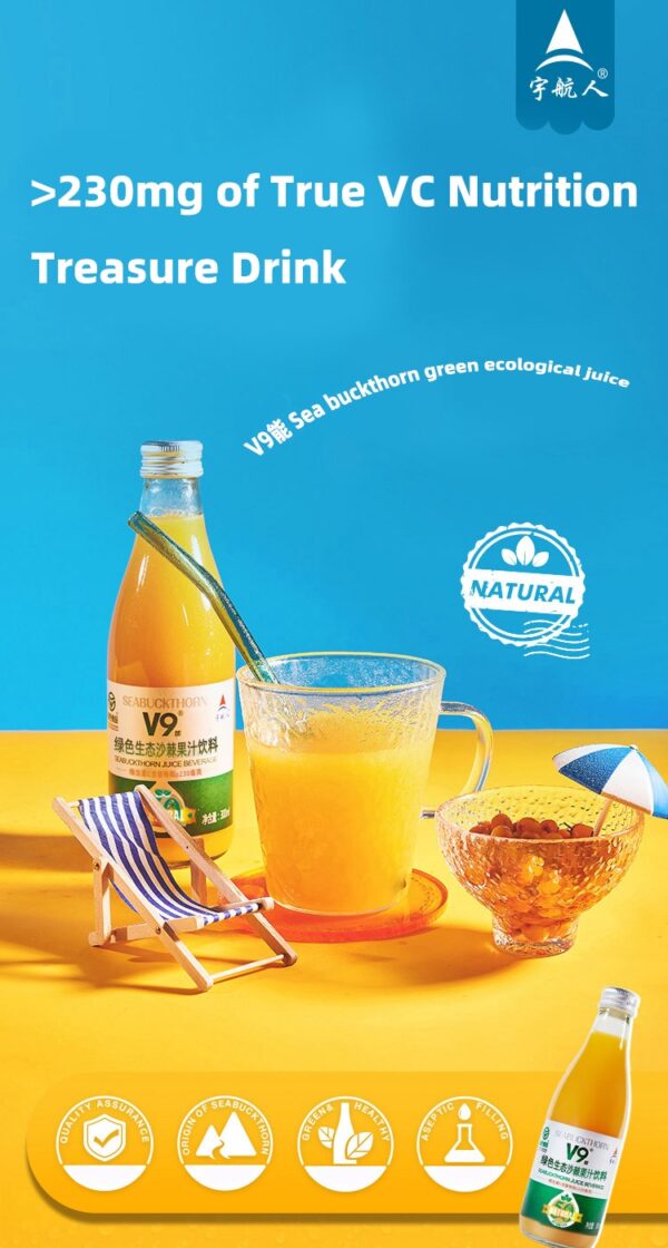 Green Ecological Sea Buckthorn Juice210ml - Image 3