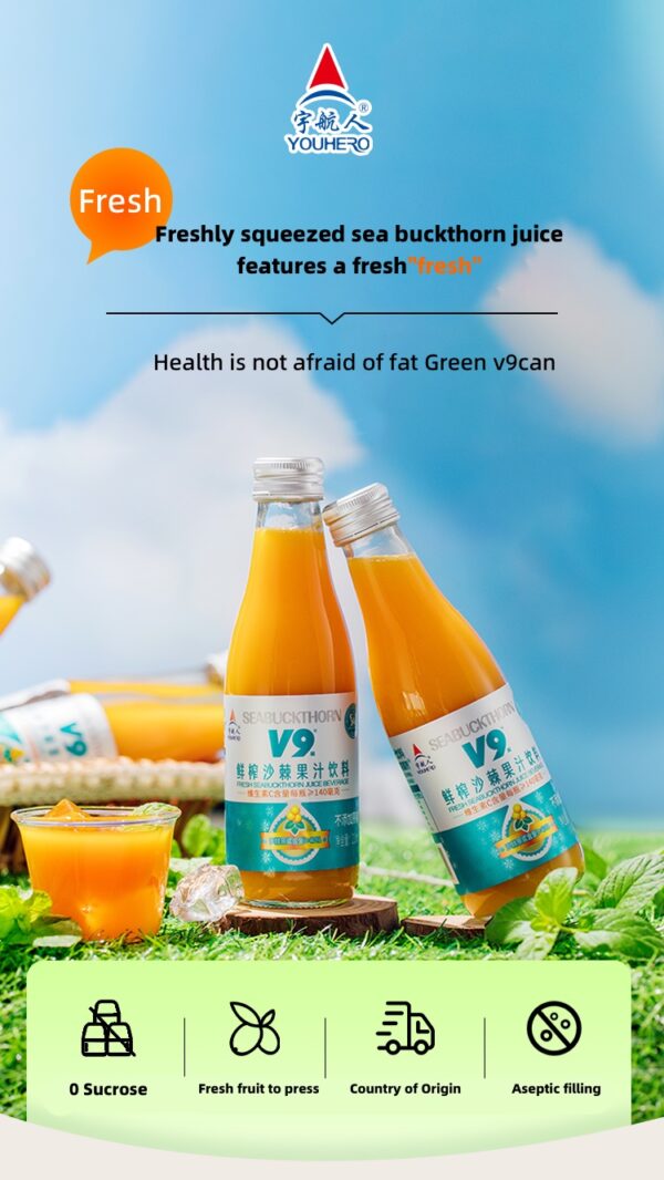 Freshly Squeezed Sea Buckthorn juice 210ml - Image 2