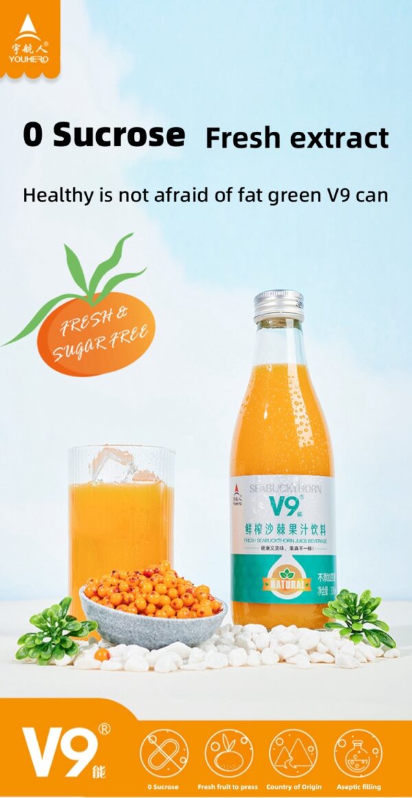Freshly Squeezed Sea Buckthorn juice 300ml - Image 2