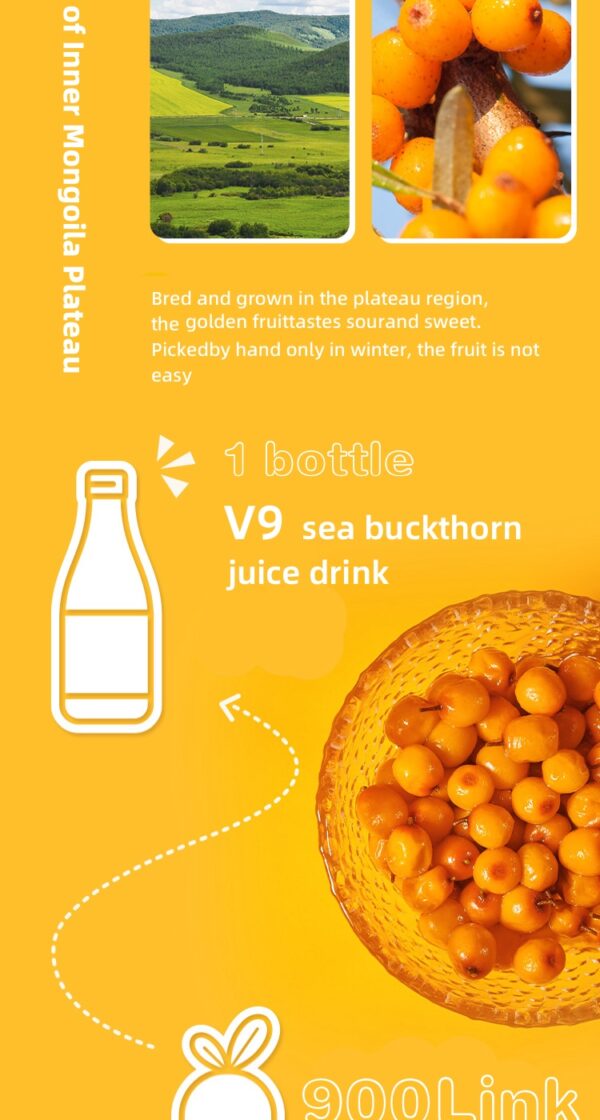 Green Ecological Sea Buckthorn Juice210ml - Image 4