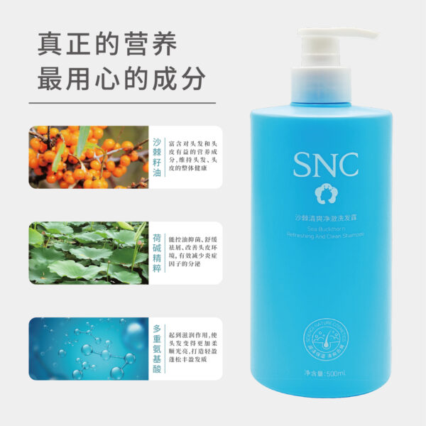 Refreshing Cleansing / Clarifying Shampoo - Image 4