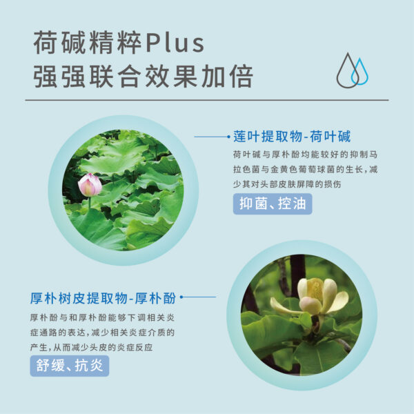 Refreshing Cleansing / Clarifying Shampoo - Image 5