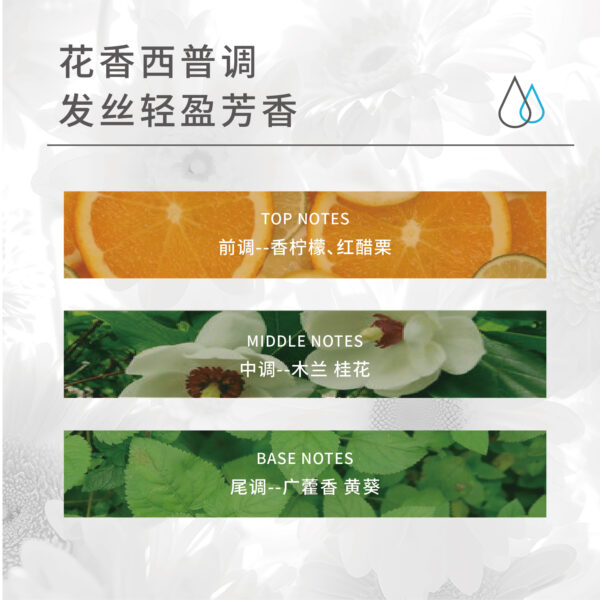 Refreshing Cleansing / Clarifying Shampoo - Image 6