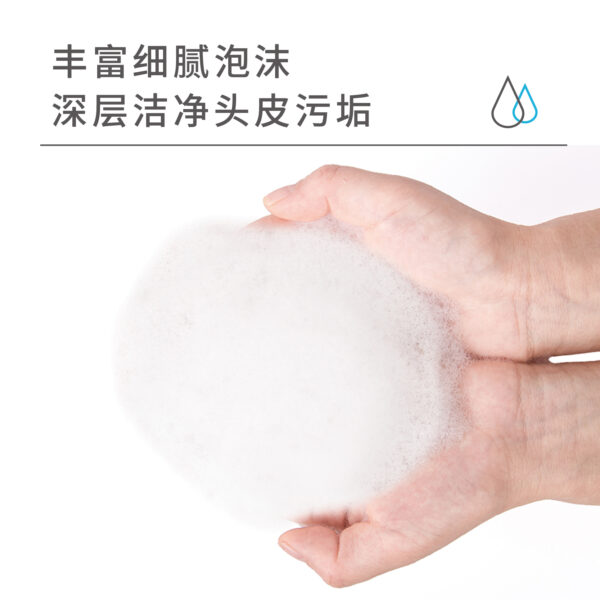 Refreshing Cleansing / Clarifying Shampoo - Image 7